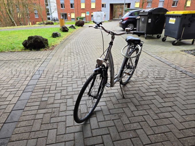 Frontalansicht des Damenfahrrades