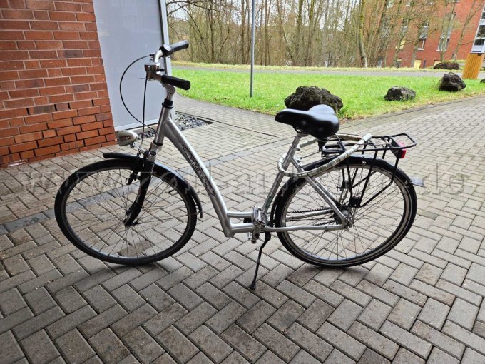 Seitenansicht des Damenfahrrades