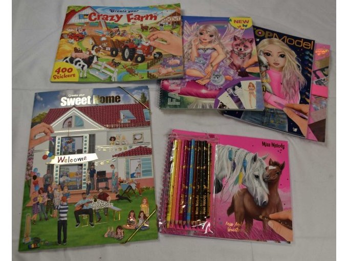 15 verschillende sets schrijfgerei en 5 activiteitenboeken – foto 2 – kavel bij Zoll-Auktion, Hamburg