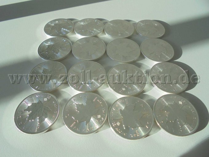 Gesamtansicht Ahornblatt Gesamtansicht Ahornblatt