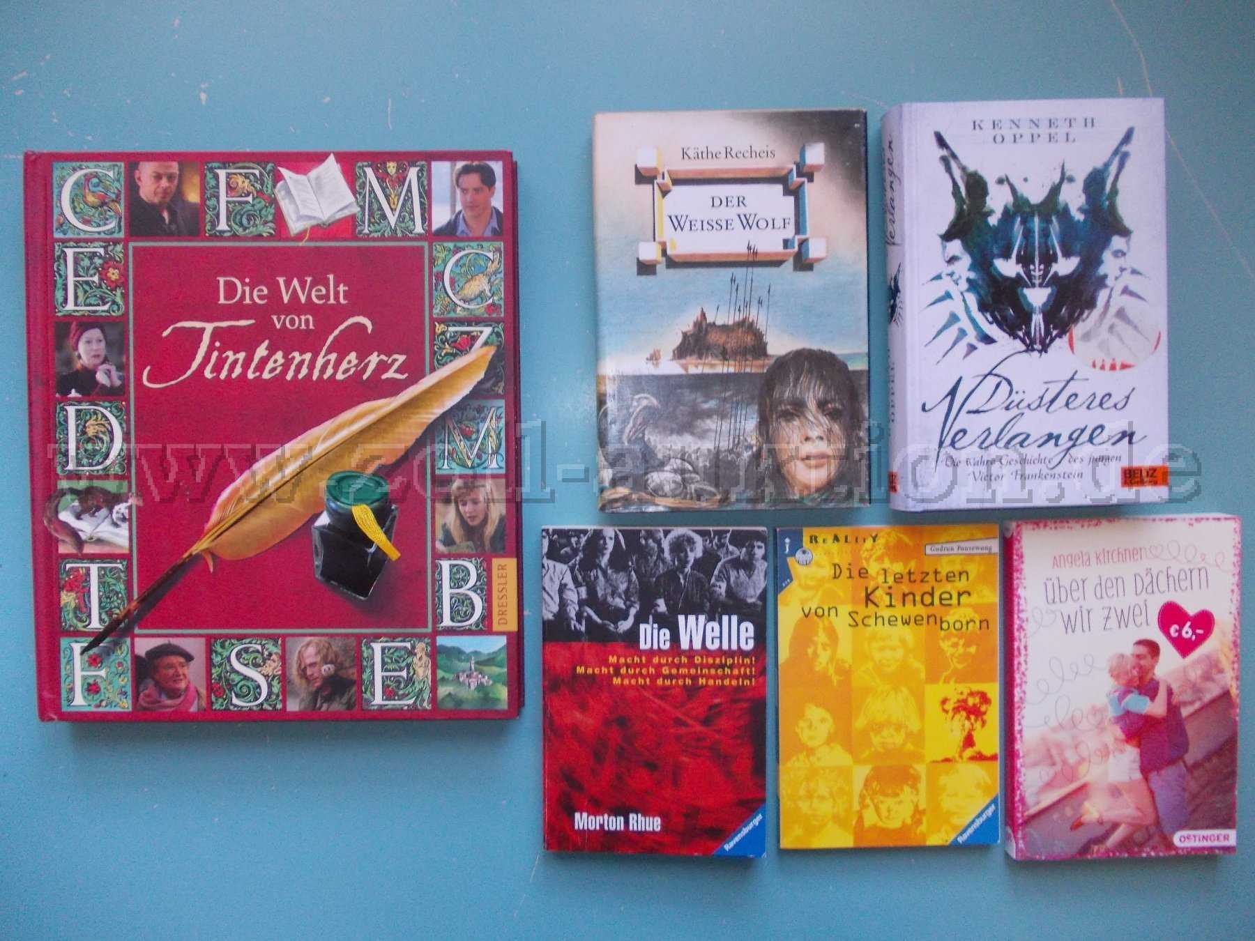6 von 17 Büchern