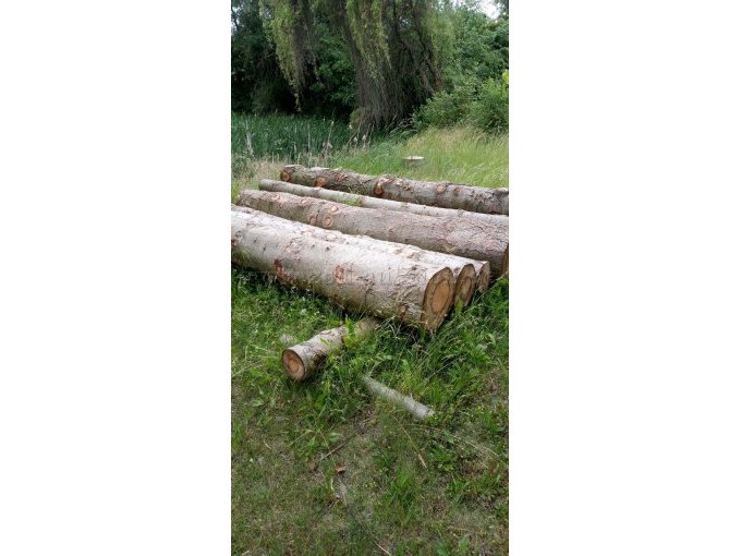 versch. Holzstämme