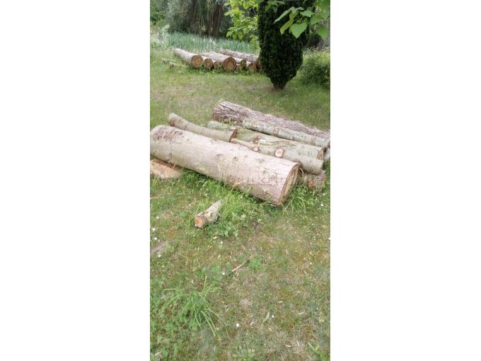 versch. Holzstämme