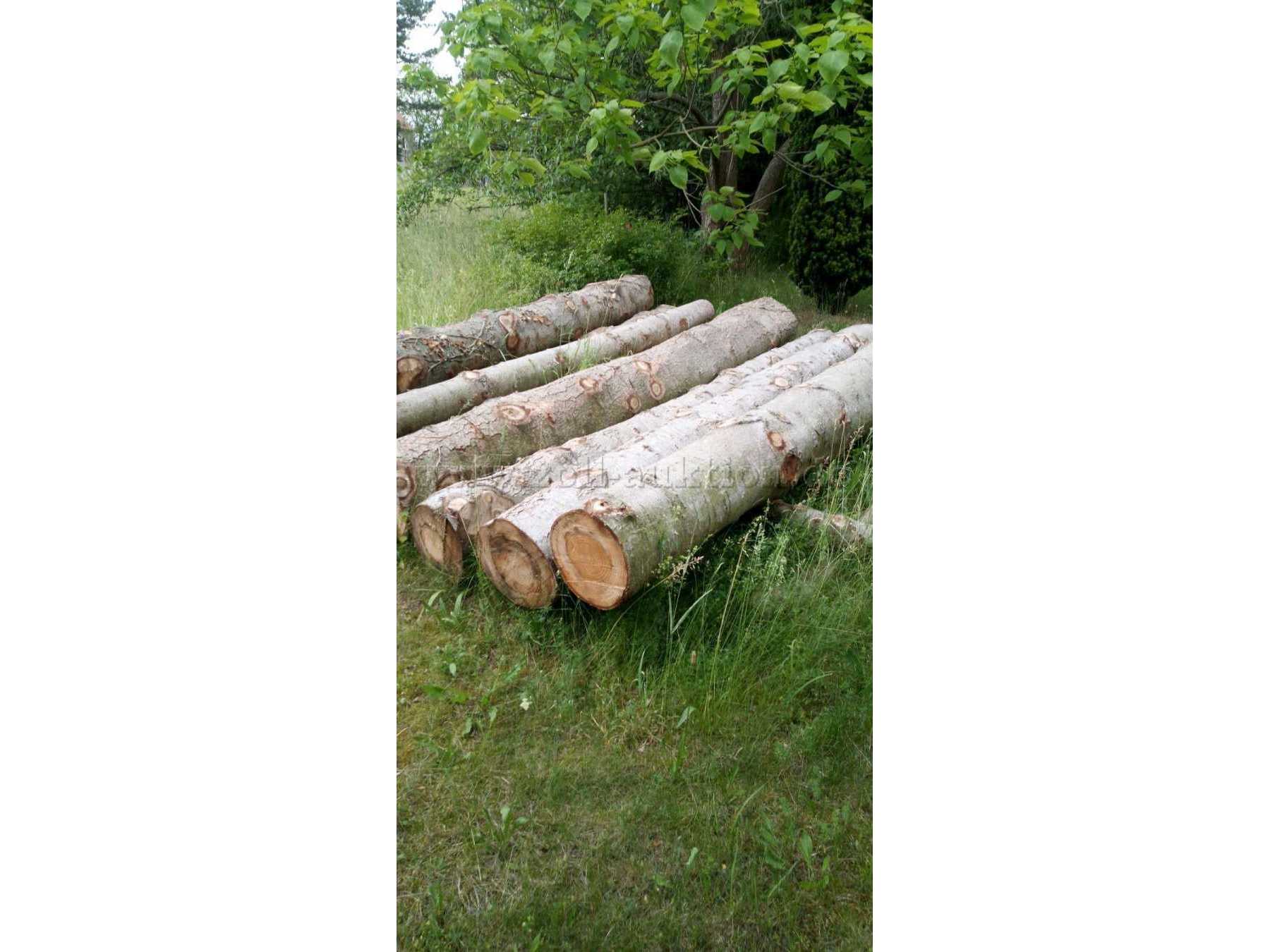 versch. Holzstämme