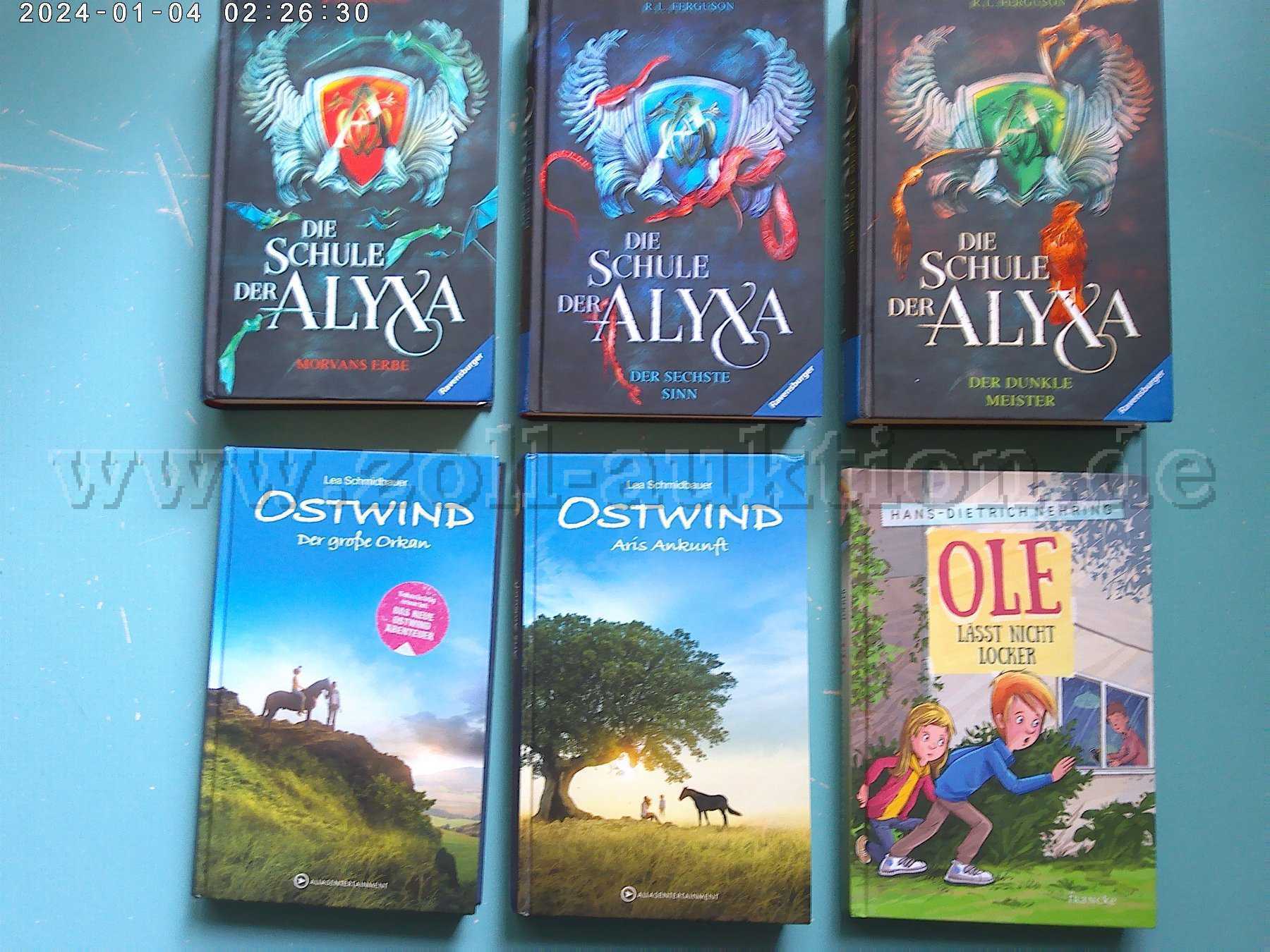 6 von 19 Büchern