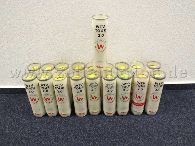 Gesamtansicht der Auktion 19 Dosen Tennisbälle (je 4 Bälle), bespielt