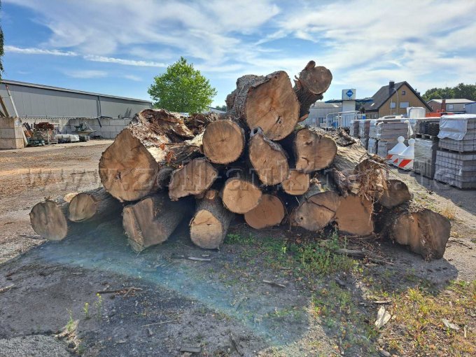 Holzpolter
