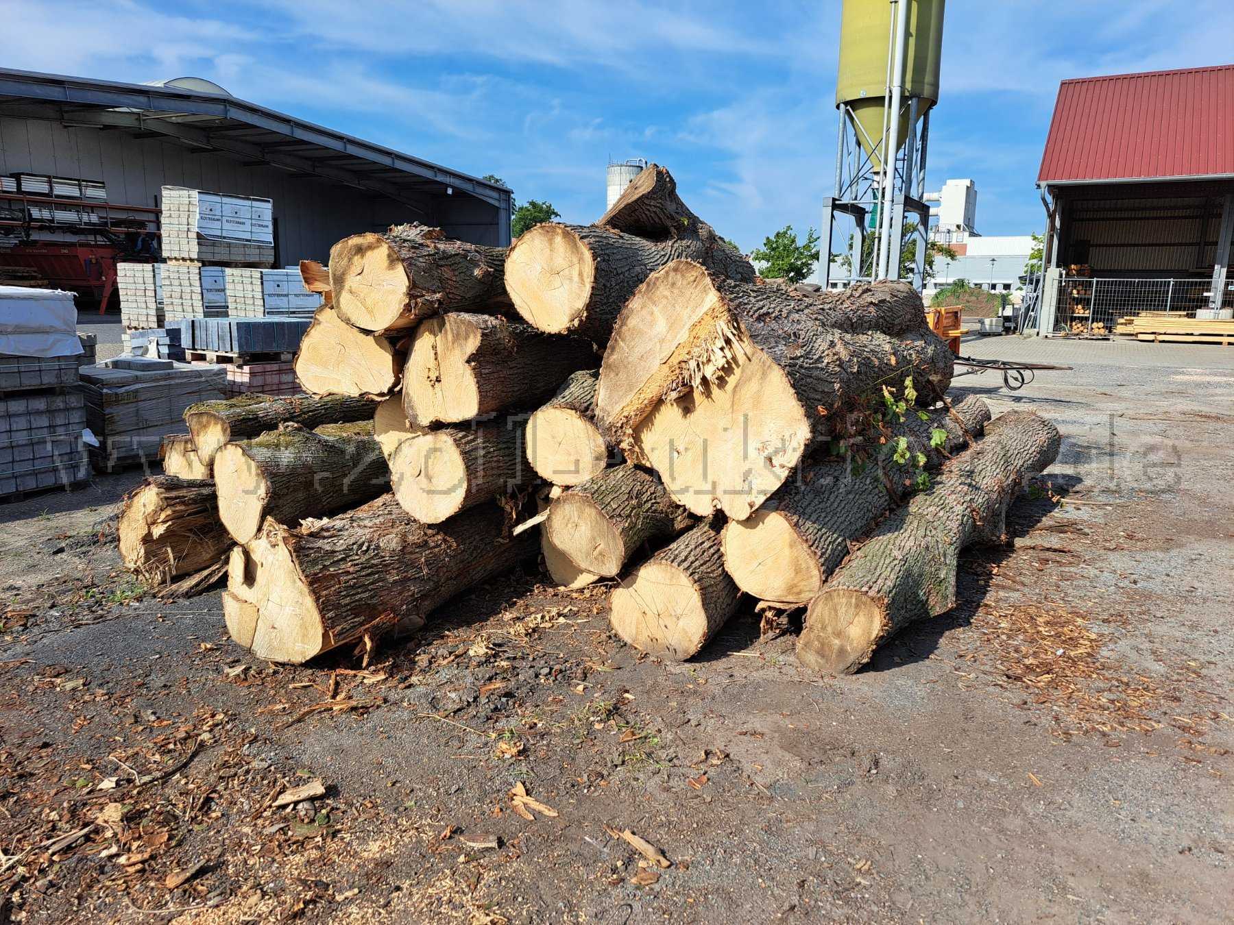 Holzpolter