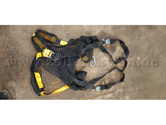 Absturzrückhaltegurt