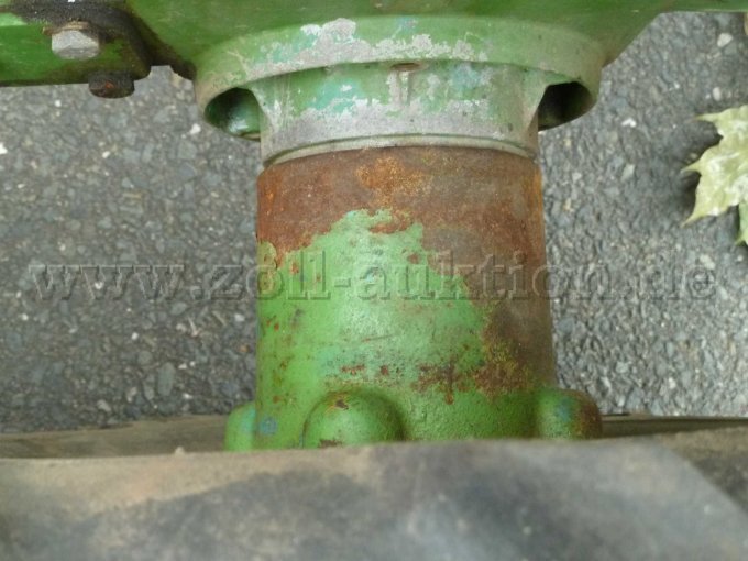 Rost