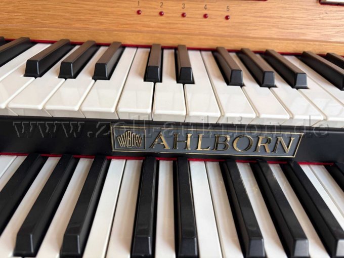 Tasten Orgel Detailansicht