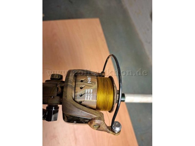 Rolle Acis Bush Carp Lion 1