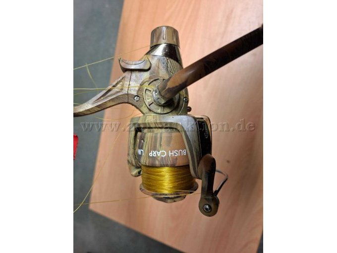 Rolle Acis Bush Carp Lion 2