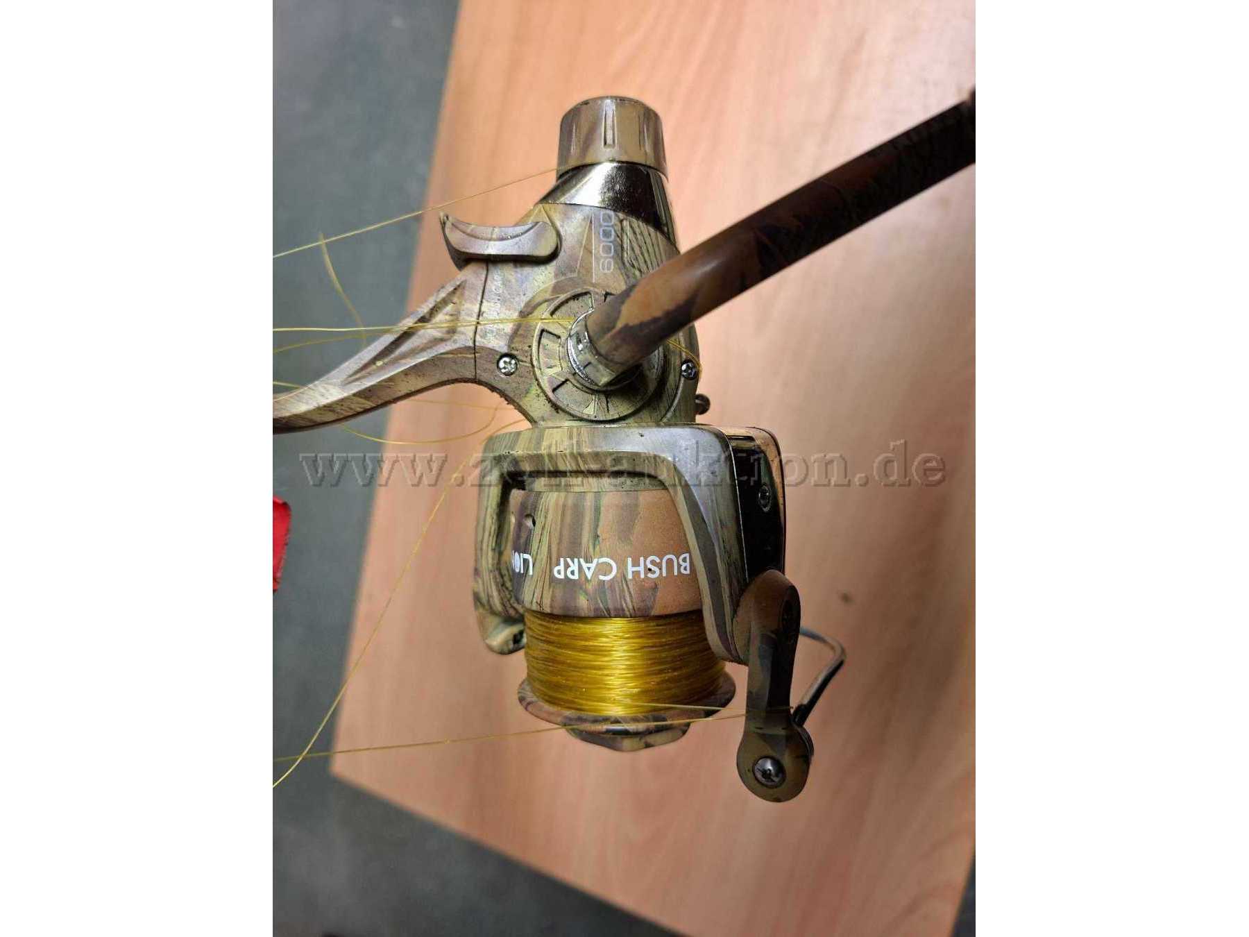 Rolle Acis Bush Carp Lion 2