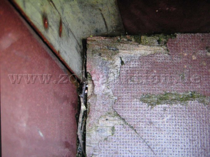 Beschädigung Bodenplatte