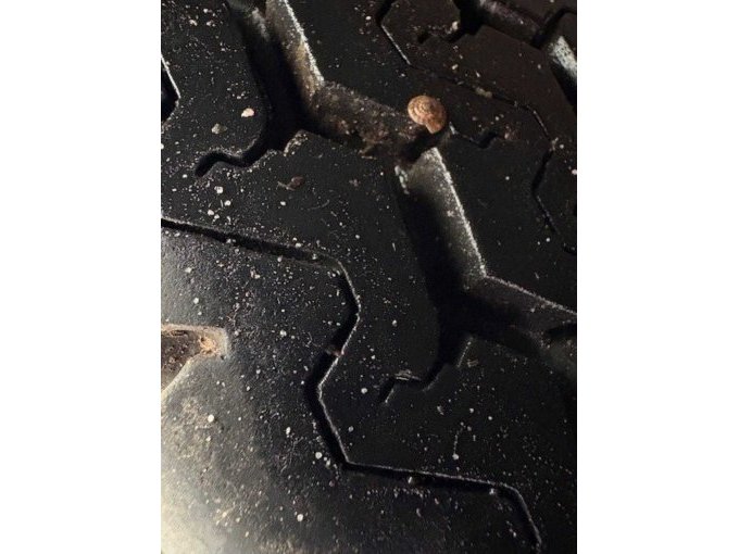 Reifenprofil mit Schnecke