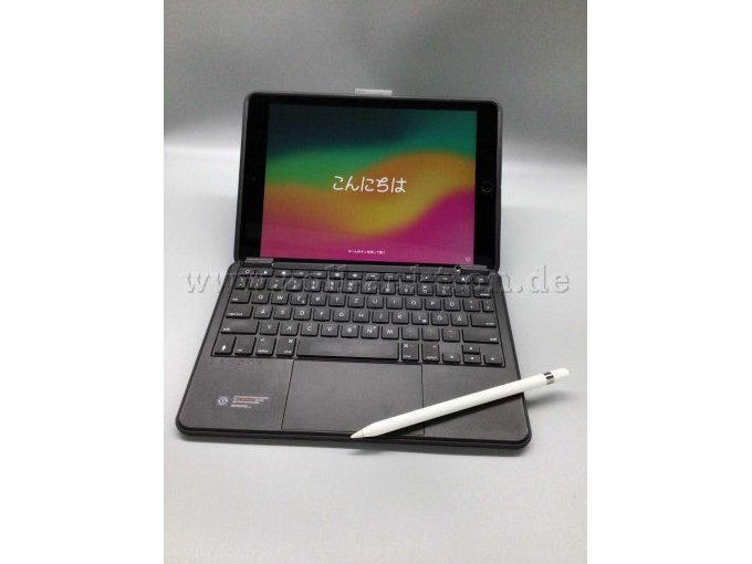 iPad, inkl. Stift+Hülle/Tastatur