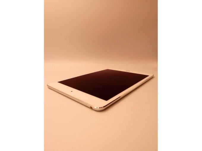 IPad Mini 4_ Ansicht obere Seite/ linke obere Ecke/ linke Seite