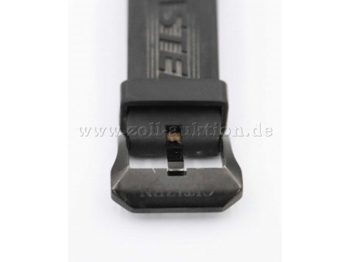 Ansicht Dornschließe