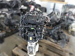 Außenbordmotor Evinrude v4 Heckansicht