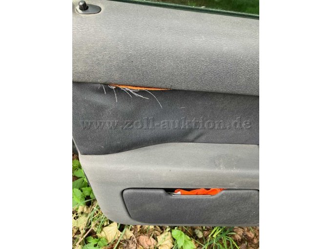 Verkleidung an Fahrertür mit Riss