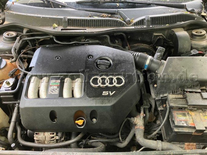 Motorraum innen ohne ersichtliche auslaufenden Flüssigkeiten an Motor und Schläuche