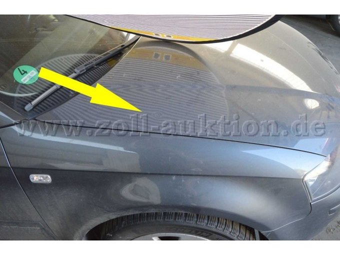 Beschädigung Motorhaube