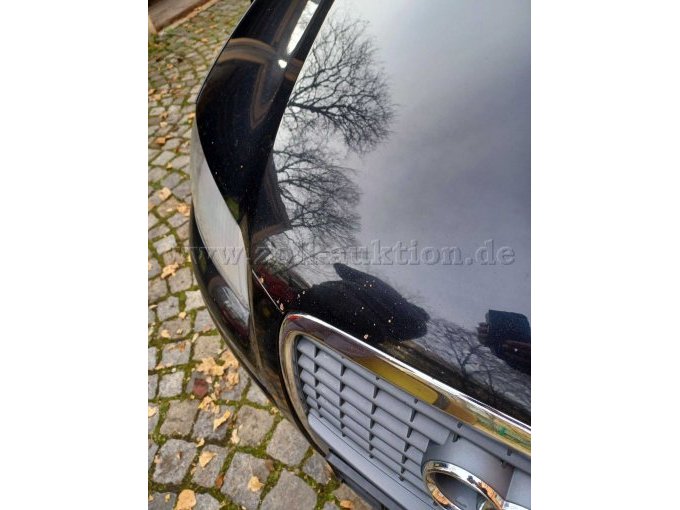 Steinschläge und Rost Motorhaube