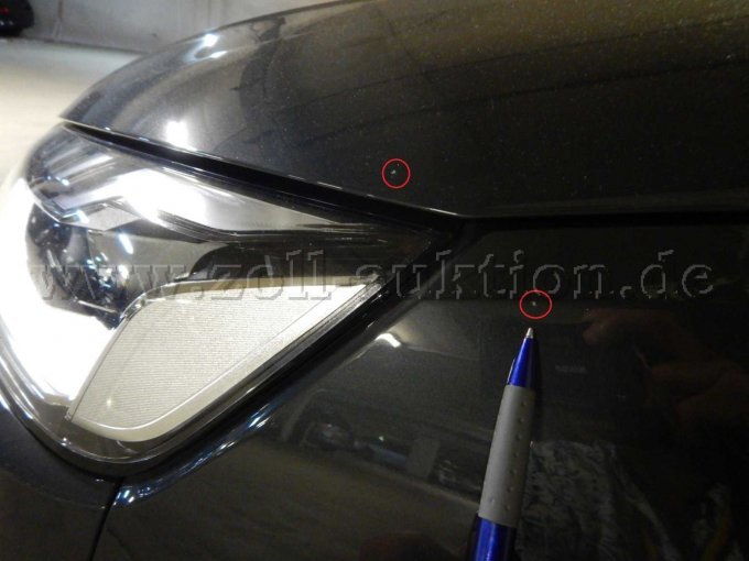 Kotflügel links u. Motorhaube: Steinschläge