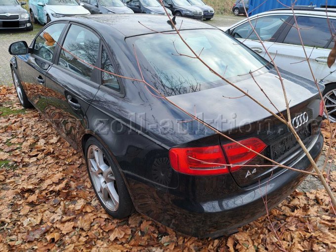 hinten/seitlich links