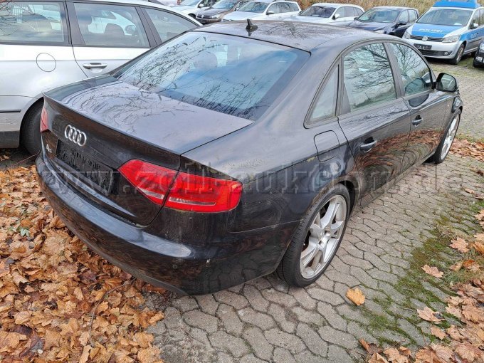 hinten/seitlich rechts