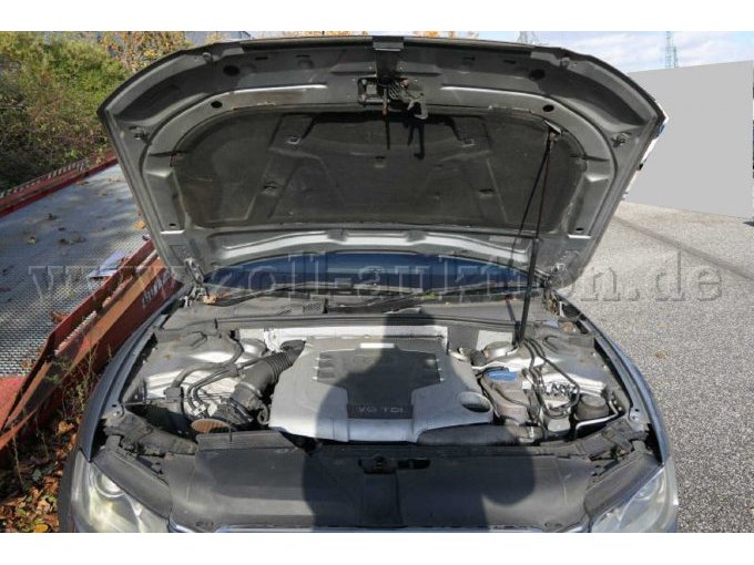Motor/ Motorraum