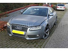 seitliche Frontansicht