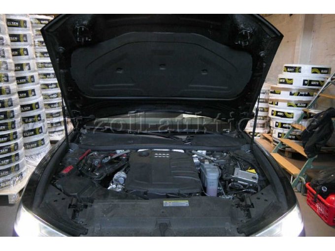 Detailbild Motorraum