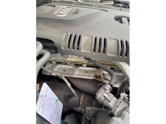 Ölaustritt Motor