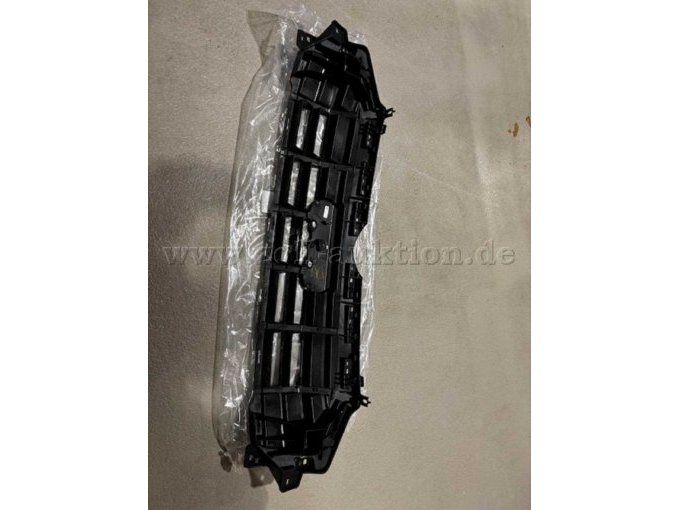 Rückseite Kühlergrill