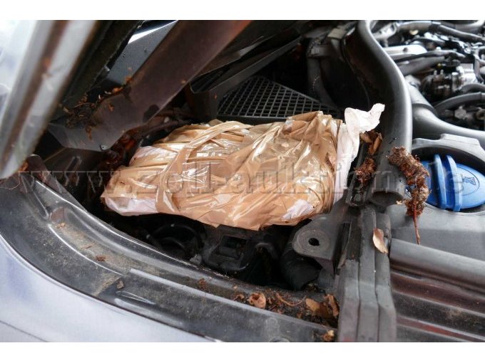 1 Audi Q 7 3.0 TDI Quattro – foto 6 – kavel bij Zoll-Auktion, Wandlitz