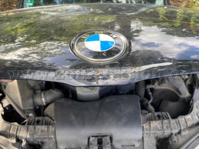 Delle Motorhaube