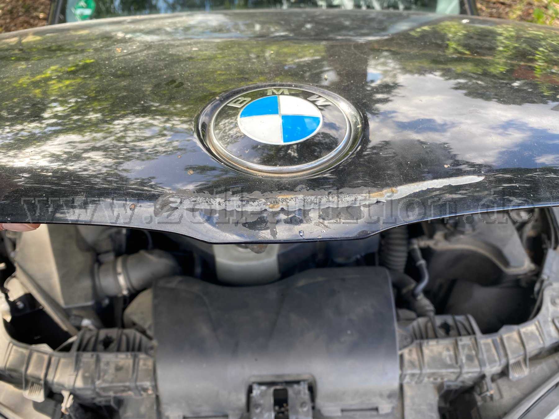 Delle Motorhaube