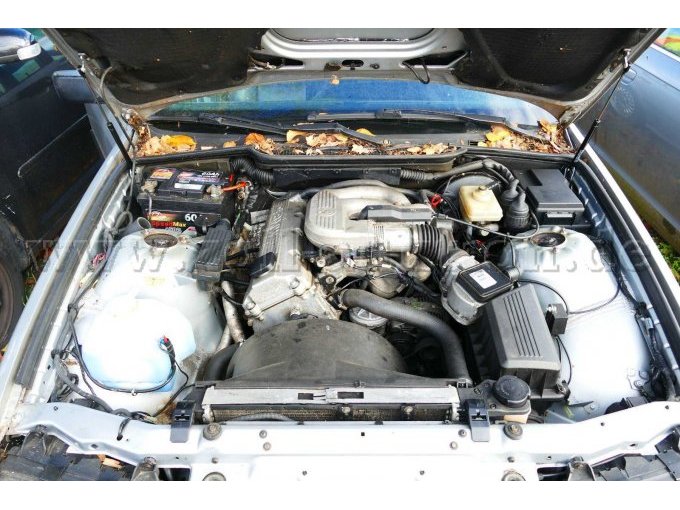 Motor