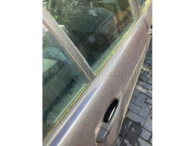 Moos an den Fensterdichtungen rechts