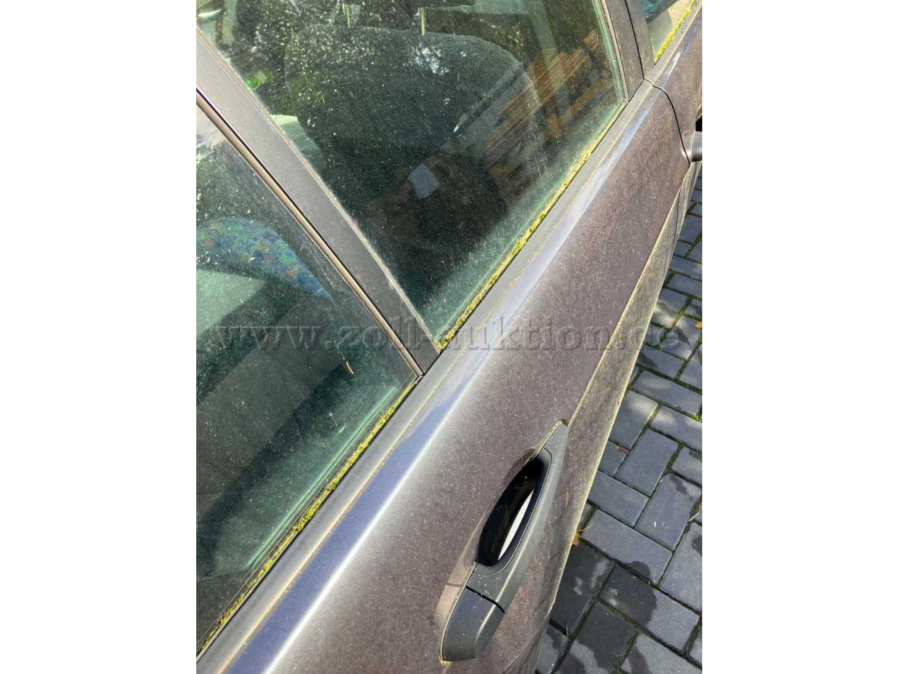 Moos an den Fensterdichtungen rechts