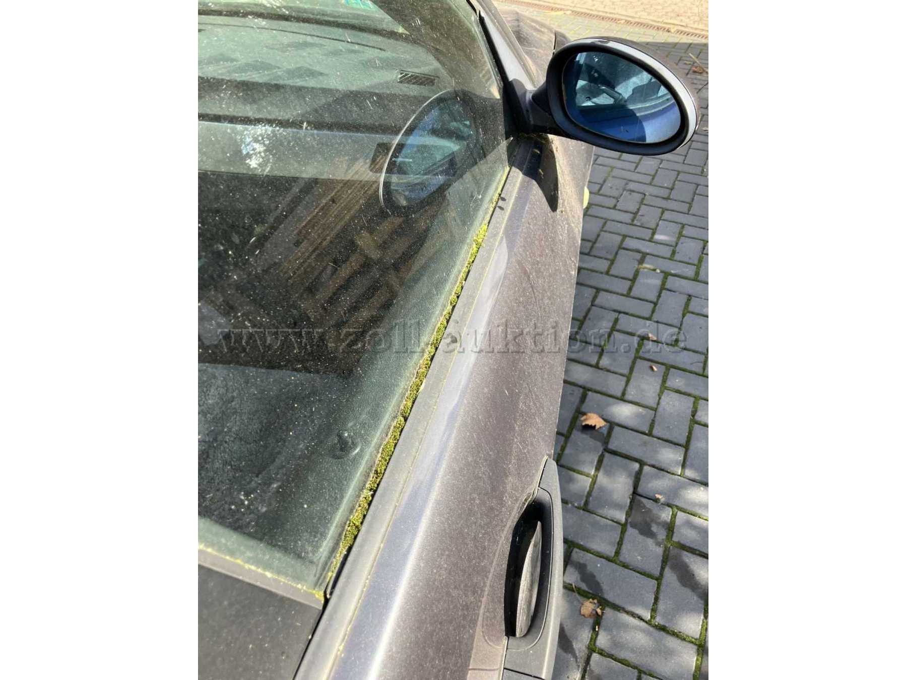 Moos an den Fensterdichtungen rechts vorne