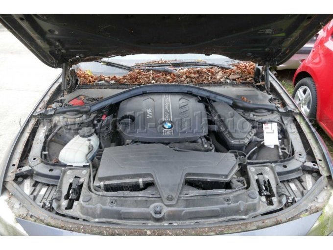 Motor