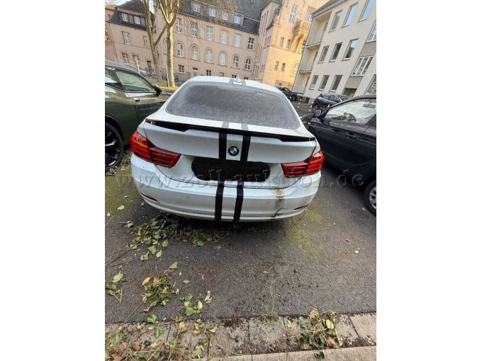 Heckansicht.jpg