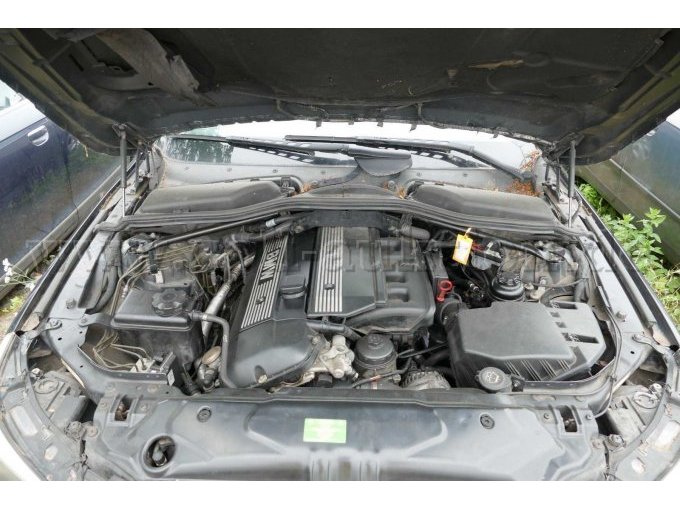 Motor