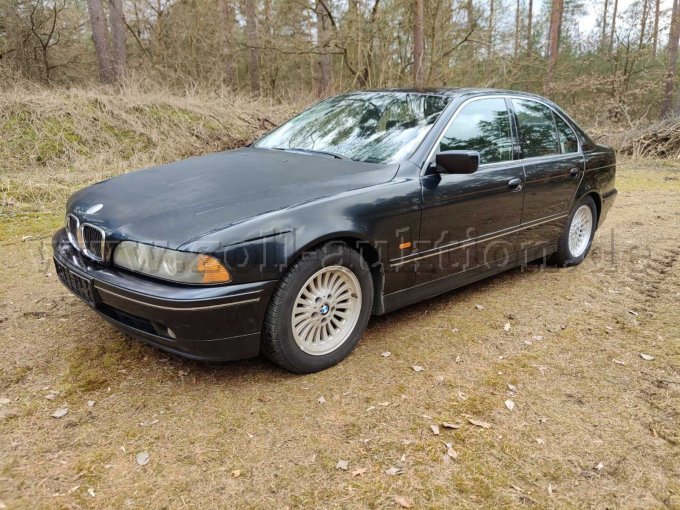 Seitenansicht Fahrer