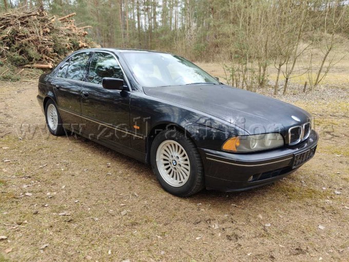 Seitenansicht Beifahrer