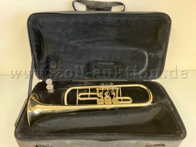Instrumentenkoffer mit Instrument