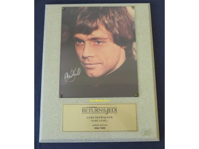 Bild Luke Skywalker, signiert, Limited Edition (826-1000)